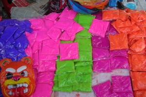 2012-und-2013-indien-amrit-nam-sri-lanka-265