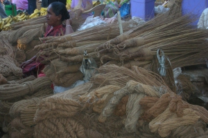 2012-und-2013-indien-amrit-nam-sri-lanka-275