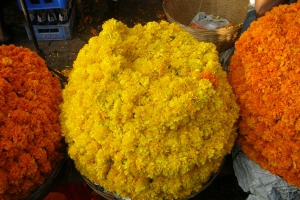 2012-und-2013-indien-amrit-nam-sri-lanka-281