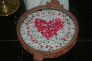 fotos-webside-012