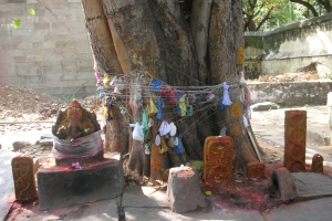 indien-08-alles-270