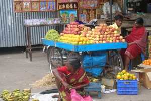 indien-08-alles-291